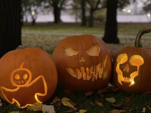 Ob verspielt oder gruselig – zu Halloween werden am The Fontenay geschnitzte Kürbisse ausgestellt / ©The Fontenay
